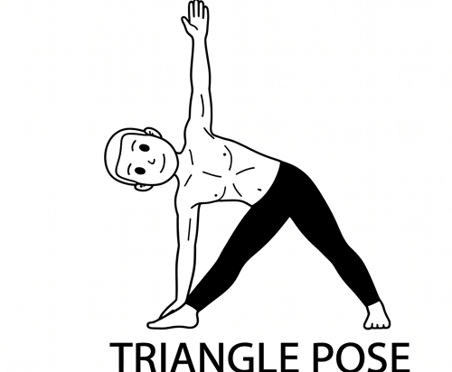 Visual sketch of Triangle Pose (Trikonasana)